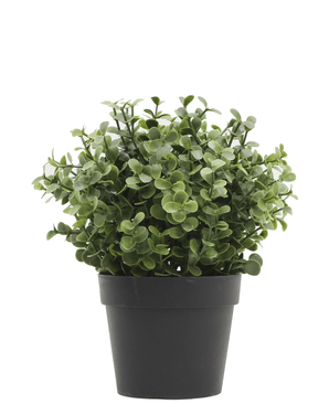 Piante Finte Buxus verde in vaso 19 cm UV