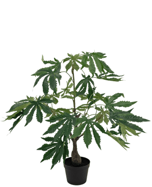 Piante Finte Canapa Foglie di Cannabis 60 cm