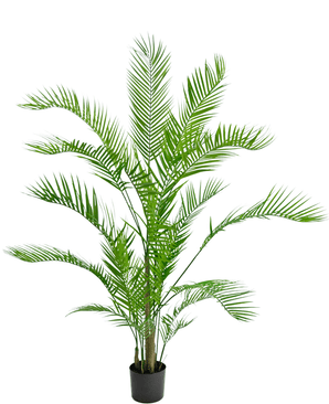 Piante Finte Chamaedorea 150 cm