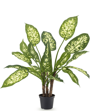 Piante Finte Dieffenbachia 60 cm