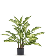 Piante Finte Dieffenbachia 75 cm