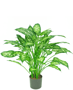 Piante Finte Dieffenbachia 75 cm