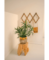 Piante Finte Dracaena Reflexa in vaso da 63 cm