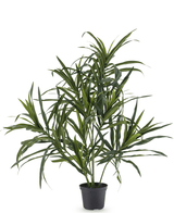 Piante Finte Dracaena Reflexa in vaso da 63 cm