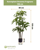Piante Finte Dracena Fragnans 150 cm