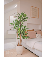 Piante Finte Dracena Fragnans 150 cm