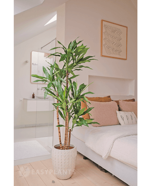 Piante Finte Dracena Fragnans 150 cm