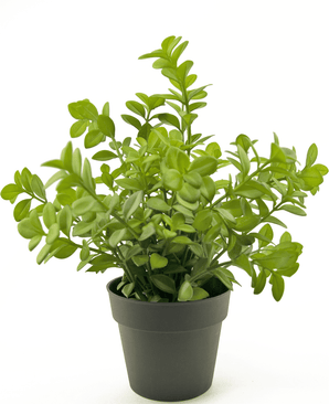 Piante Finte Eucalipto 27 cm