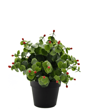 Piante Finte Eucalipto rosso in vaso 22 cm UV