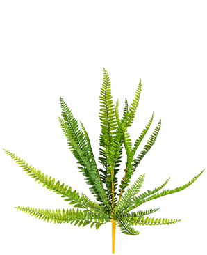 Piante Finte Fern 55 cm