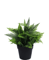 Piante Finte Fern in vaso 23 cm UV