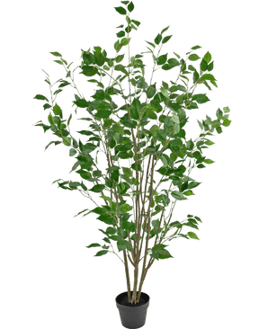 Piante Finte Ficus 150 cm