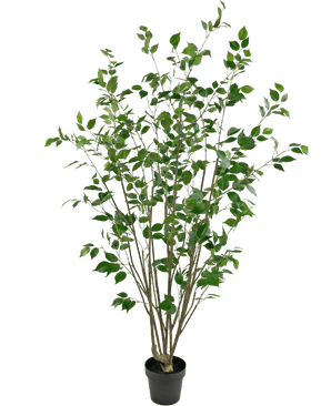 Piante Finte Ficus 180 cm