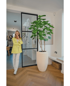 Piante Finte Ficus 180 cm