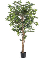 Piante Finte Ficus 180 cm ignifuga