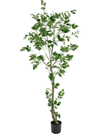 Piante Finte Ficus 210 cm