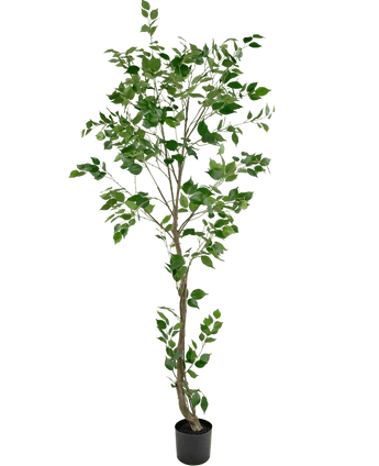 Piante Finte Ficus 210 cm
