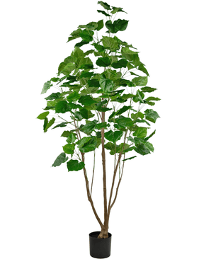 Piante Finte Ficus 210 cm