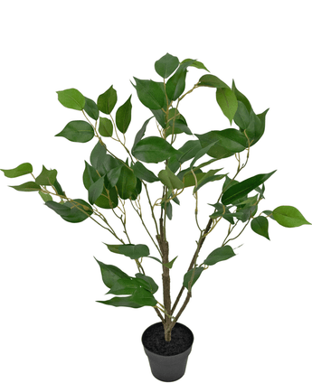 Piante Finte Ficus 60 cm