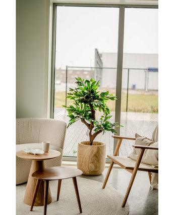 Piante Finte Ficus Crazy 120 cm