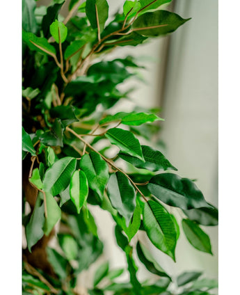 Piante Finte Ficus Crazy 120 cm