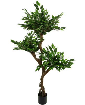 Piante Finte Ficus Crazy 150 cm