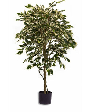 Piante Finte Ficus Fur 150 cm