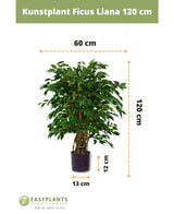 Piante Finte Ficus Liana 120 cm