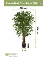 Piante Finte Ficus Liana 180 cm