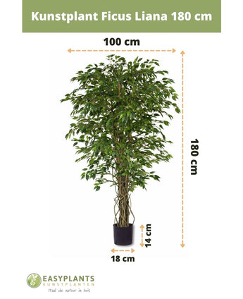 Piante Finte Ficus Liana 180 cm