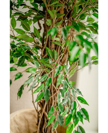 Piante Finte Ficus Liana 180 cm