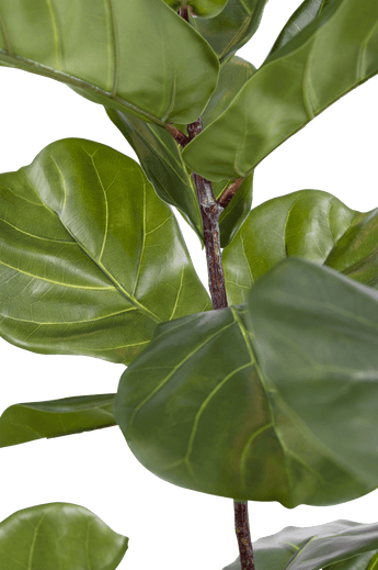 Piante Finte Ficus Tabacco Deluxe 125 cm