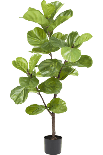 Piante Finte Ficus Tabacco Deluxe 125 cm