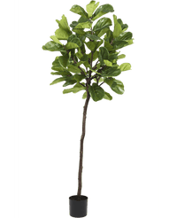 Piante Finte Ficus Tabacco Deluxe 215 cm