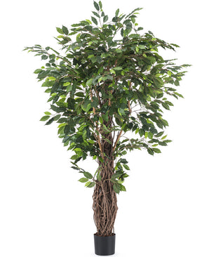 Piante Finte Ficus Tropical Liana 180 cm