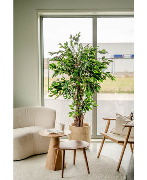 Piante Finte Ficus Tropical Liana 180 cm