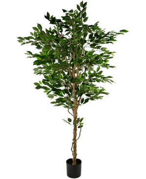 Piante Finte Ficus Verde 210 cm