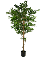 Piante Finte Ficus Verde 210 cm