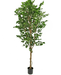 Piante Finte Ficus Verde 240 cm