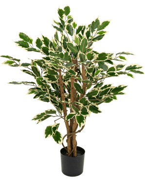 Piante Finte Ficus verde/bianco 90 cm