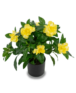 Piante Finte Gardenia 39 cm