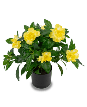 Piante Finte Gardenia 39 cm