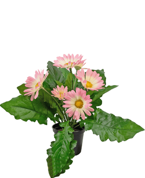 Piante Finte Gerbera 28 cm rosa