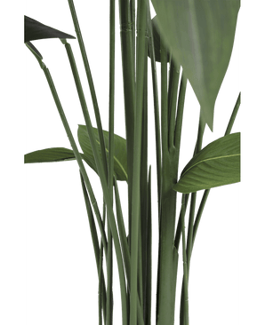 Piante Finte Heliconia 170 cm