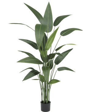 Piante Finte Heliconia 170 cm