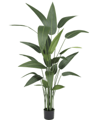 Piante Finte Heliconia 170 cm