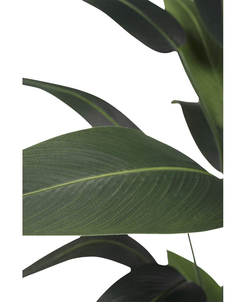 Piante Finte Heliconia 210 cm