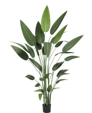 Piante Finte Heliconia 210 cm