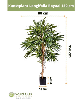 Piante Finte Longifolia Royale 150 cm