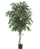 Piante Finte Longifolia Royale 180 cm